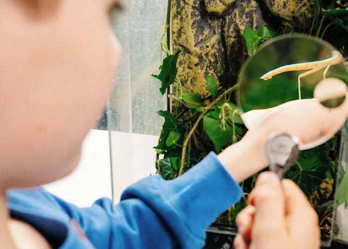 Kaboom Отель 3*